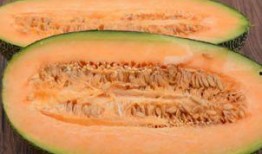 吃哈密瓜怎样拍照,一拍即合的夏日美味瞬间