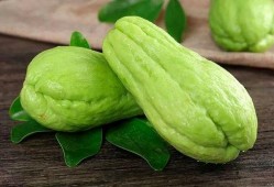 直播吃的佛手瓜,佛手瓜的独特风味之旅