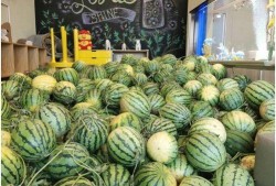 在哪里能免费吃瓜,畅享夏日清凉新体验