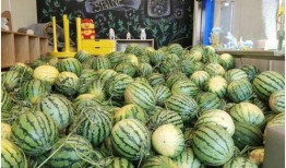 在哪里能免费吃瓜,畅享夏日清凉新体验