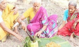 吃瓜长大的老奶奶,老奶奶的温馨回忆录