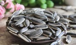 吃瓜拿瓜子图片,一场视觉与味蕾的盛宴