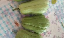 吃瓜大神来了,揭秘娱乐圈幕后真相