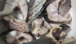 瓜哥吃瓜乌鱼是哪一集,揭秘热门剧集背后的美食诱惑