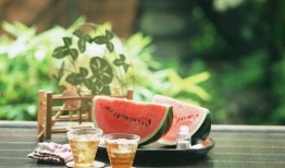 吃瓜和茶,揭秘茶文化中的趣味与智慧